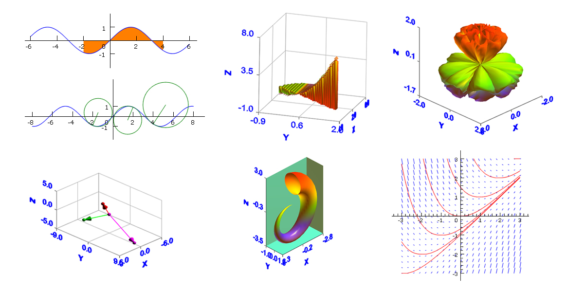 Calculus Visualization Examples